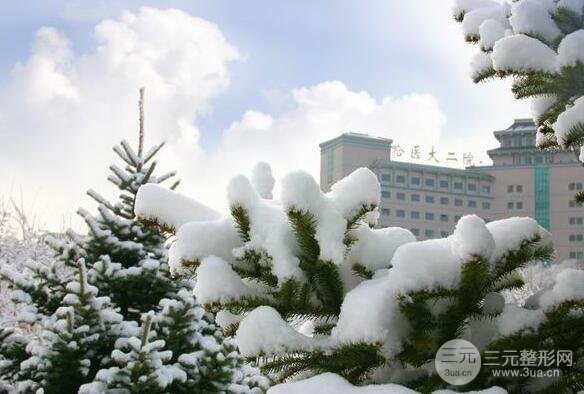哈尔滨医科大学附属第二医院整形外科简介